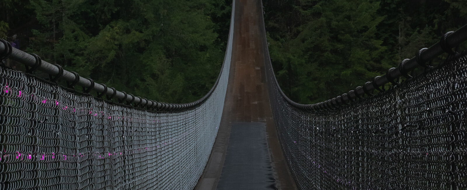 Capilano Bridge - Vancouver, Canada